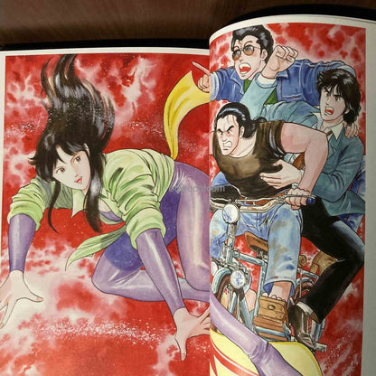 Cat's Eye Gaho 45th Anniversary Art and Guide Book