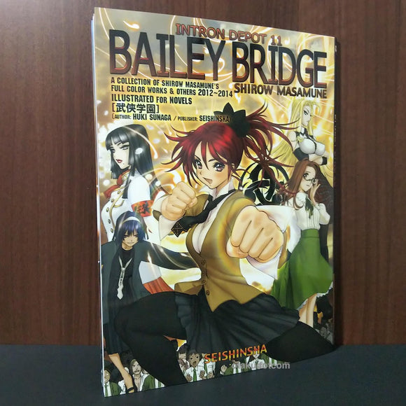 Intron Depot 11 - Bailey Bridge