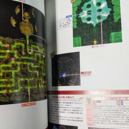 BRAVELY DEFAULT II 2 Official Guide Book