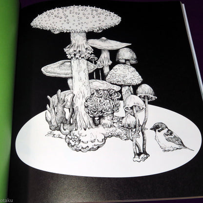Yuko Higuchi - Museum