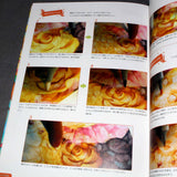 SS Illustration Making Book - SS illust making book - Copic Vol.01