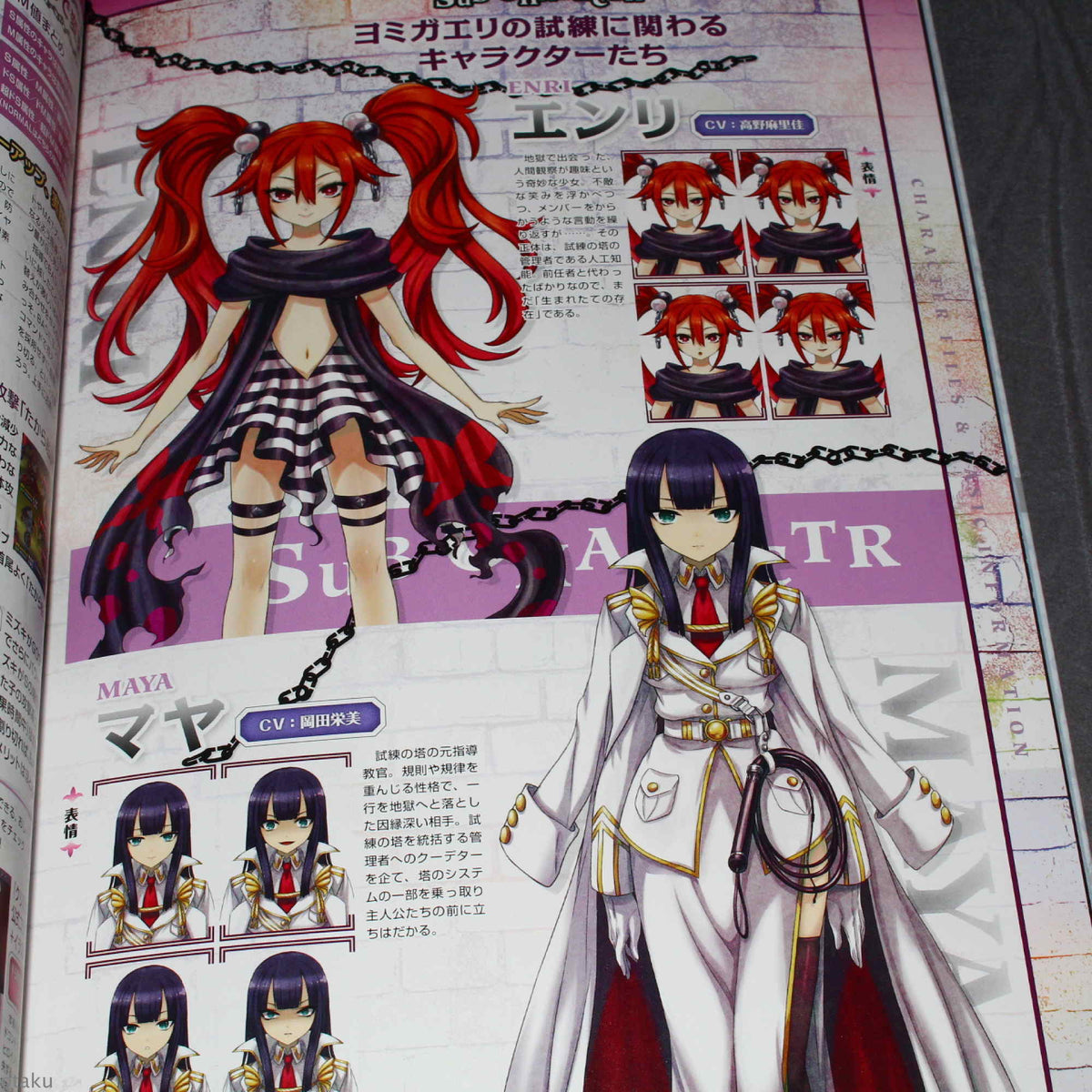 Criminal Girls 2 - Official Complete Guide & Illustration Book