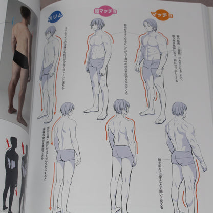 How to Draw Mens Muscles: From Skinny to Macho