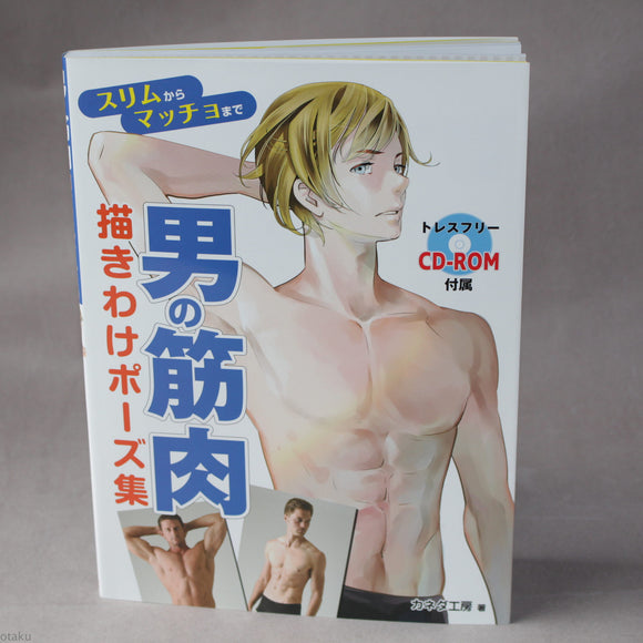How to Draw Mens Muscles: From Skinny to Macho
