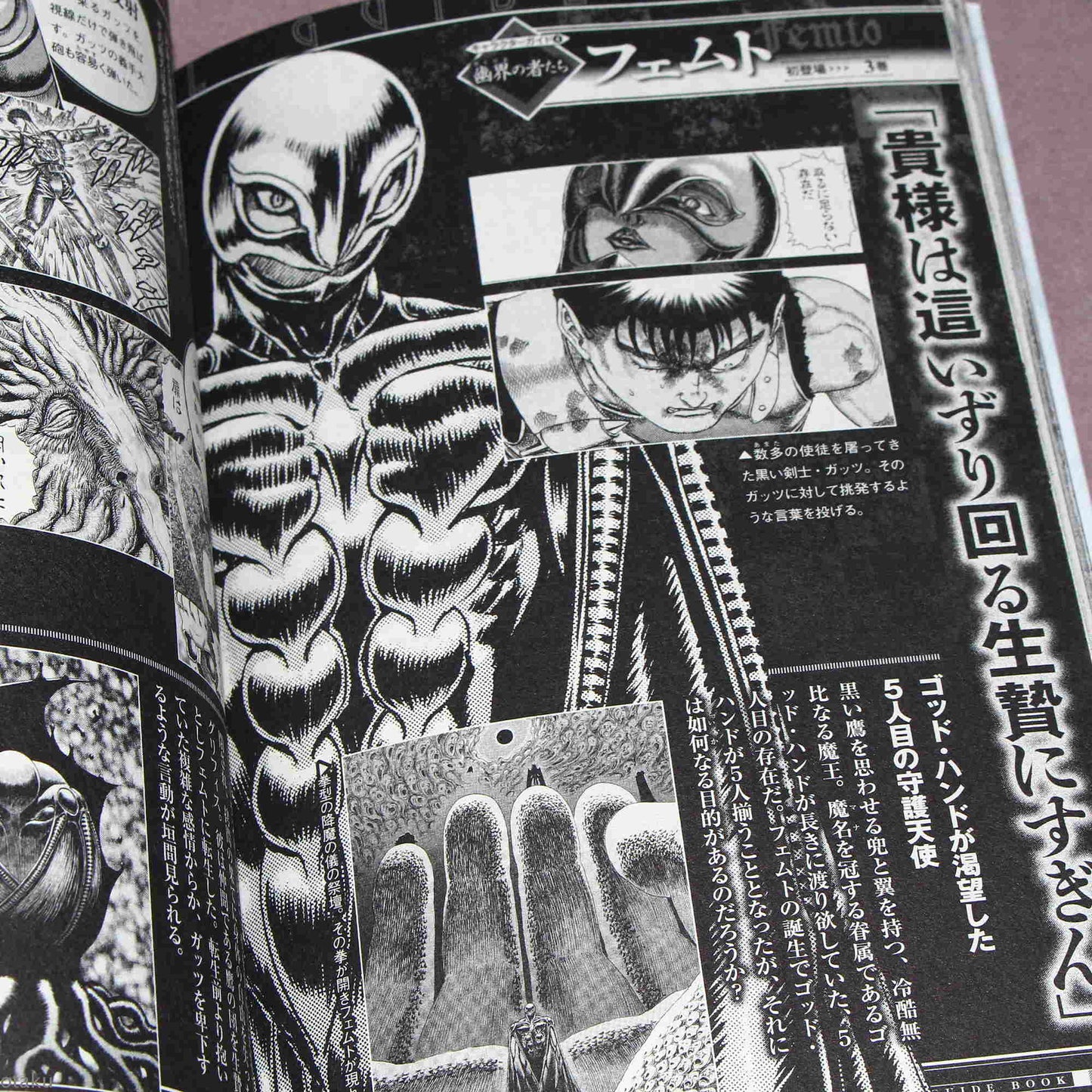 Berserk Official Guide Book