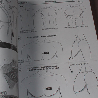 How to Draw Moe Characters - Male Couples Reference Book