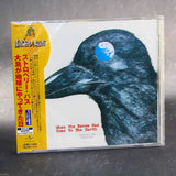 Strawberry Path - When The Raven Has Come To The Earth