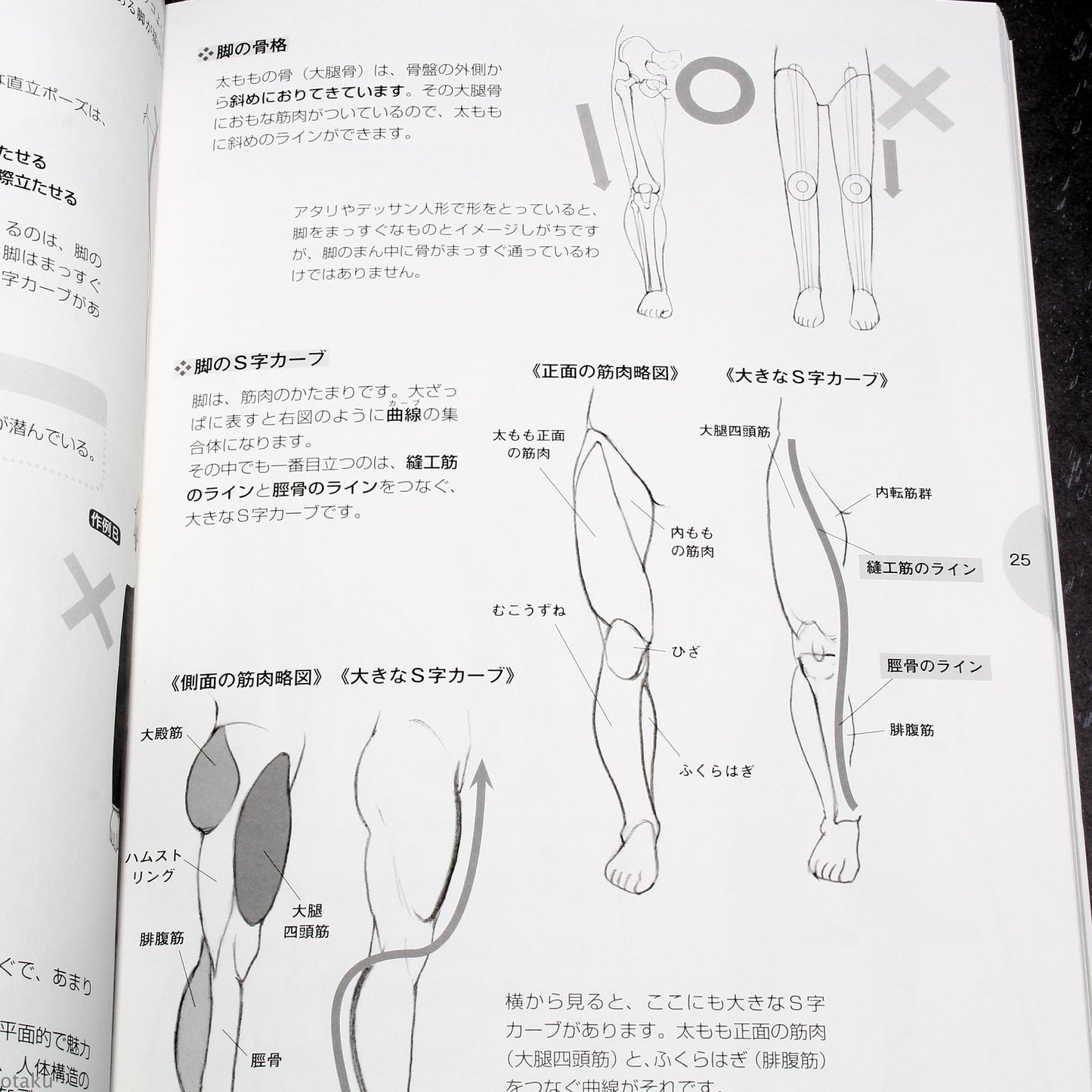 How to Draw - Men's Moe Character