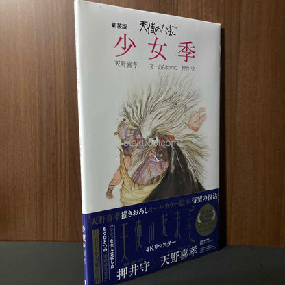 Angel's Egg / Tenshi no Tamago - Shojoki - Art Book