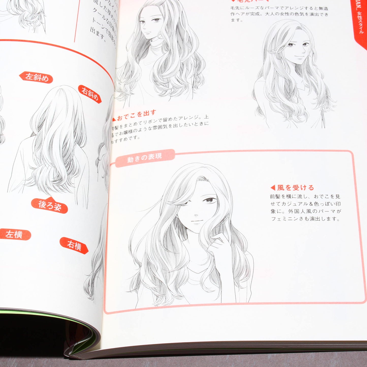 Manga Characters Hairstyle Illustration Collection