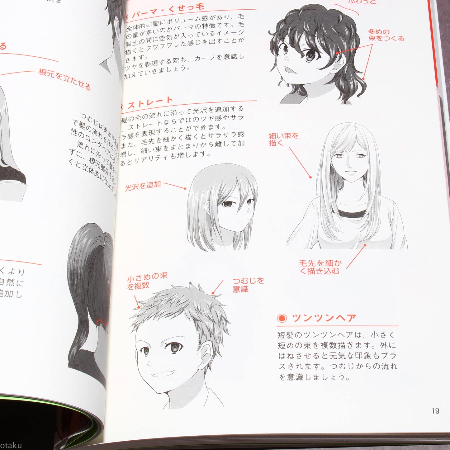 Manga Characters Hairstyle Illustration Collection