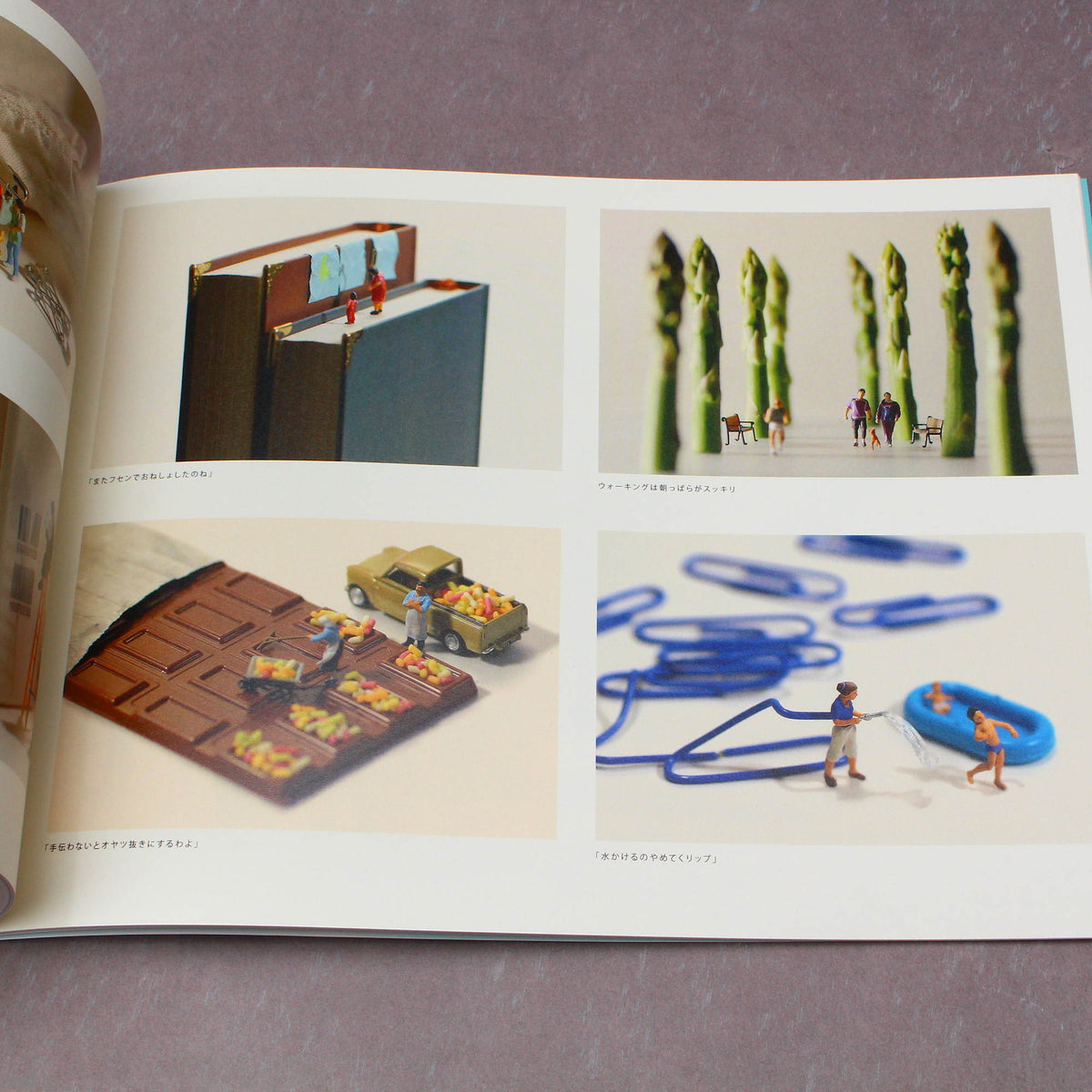 Tatsuya Tanaka - MINIATURE LIFE 2