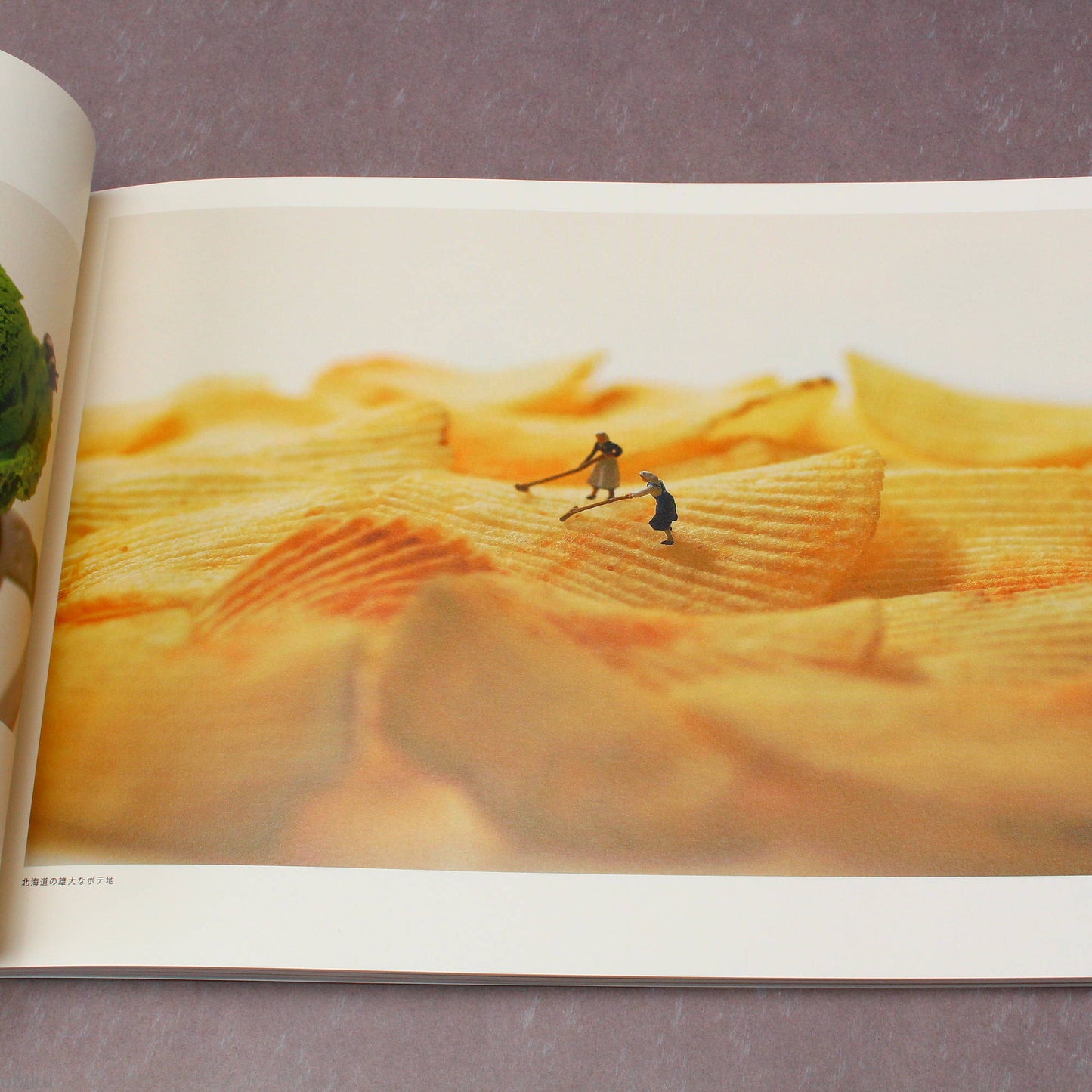 Tatsuya Tanaka - MINIATURE LIFE 2