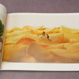 Tatsuya Tanaka - MINIATURE LIFE 2