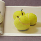 Tatsuya Tanaka - MINIATURE LIFE 1