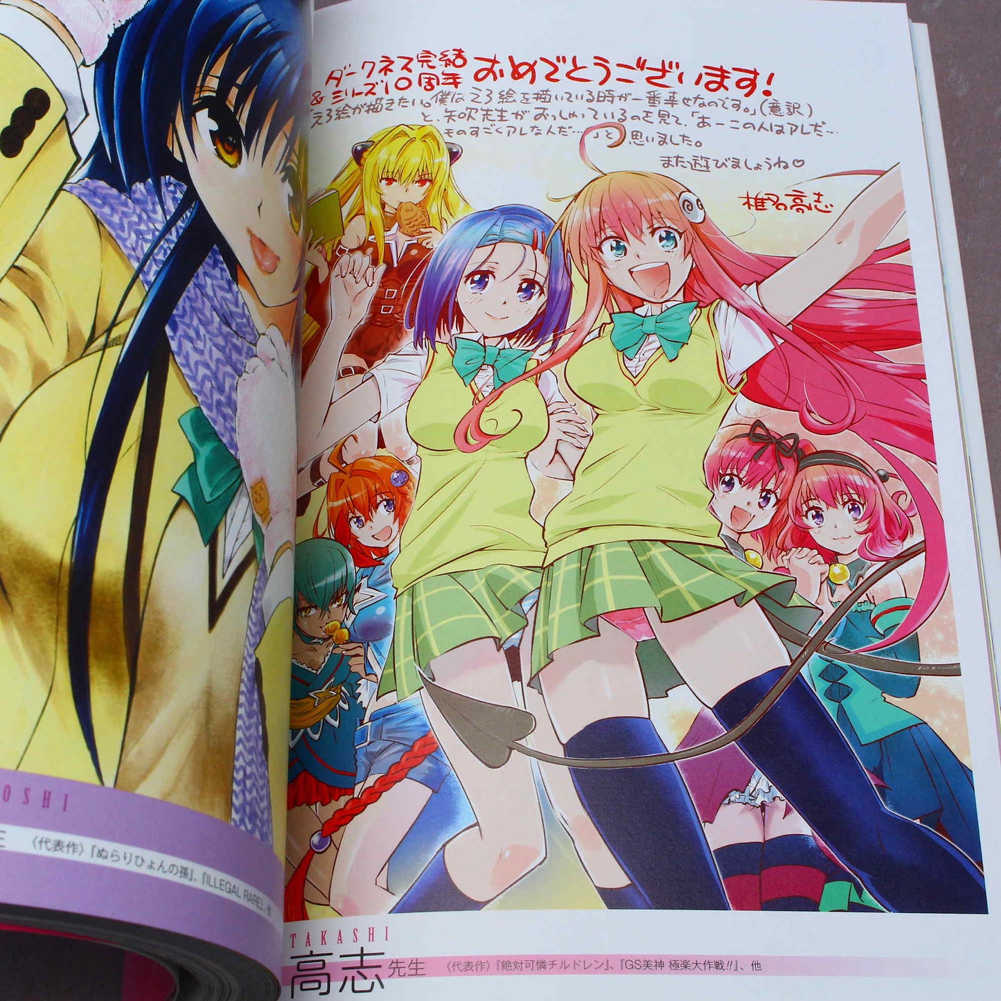 To Love-Ru - 10th Anniversary Book