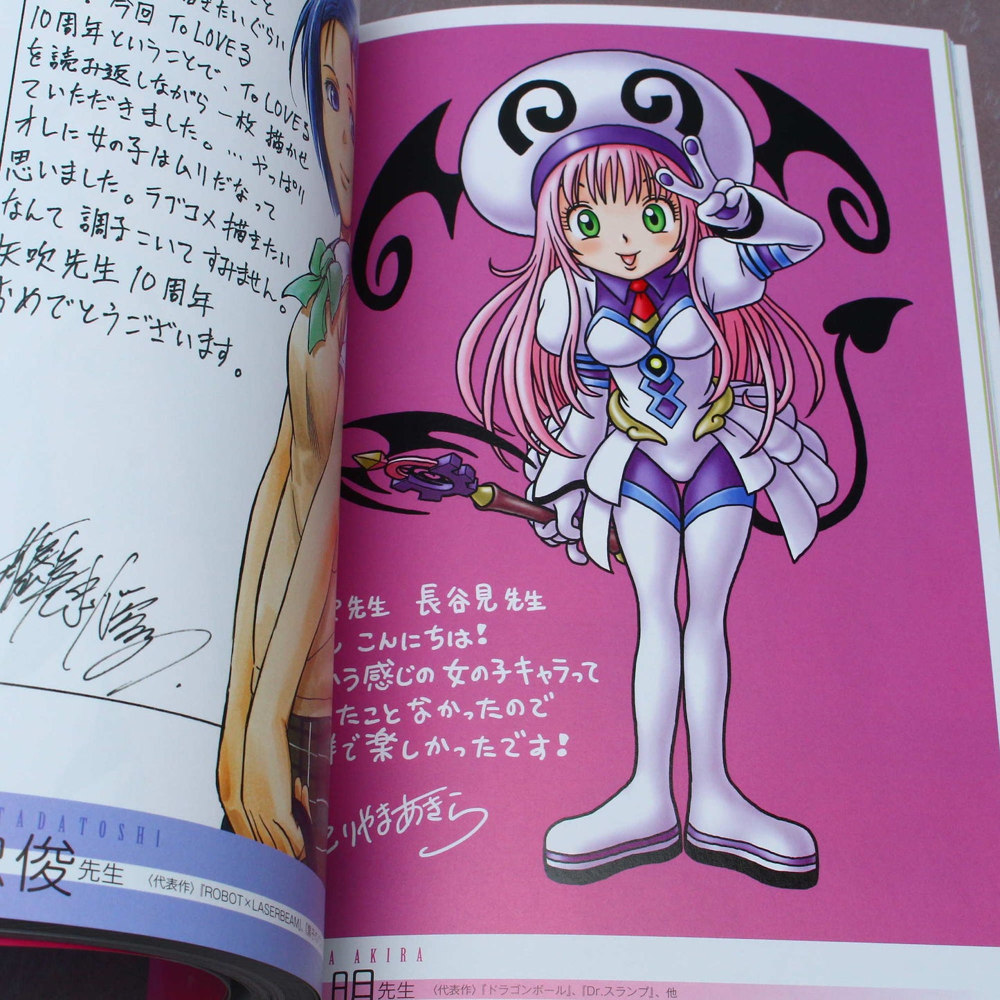 To Love-Ru - 10th Anniversary Book