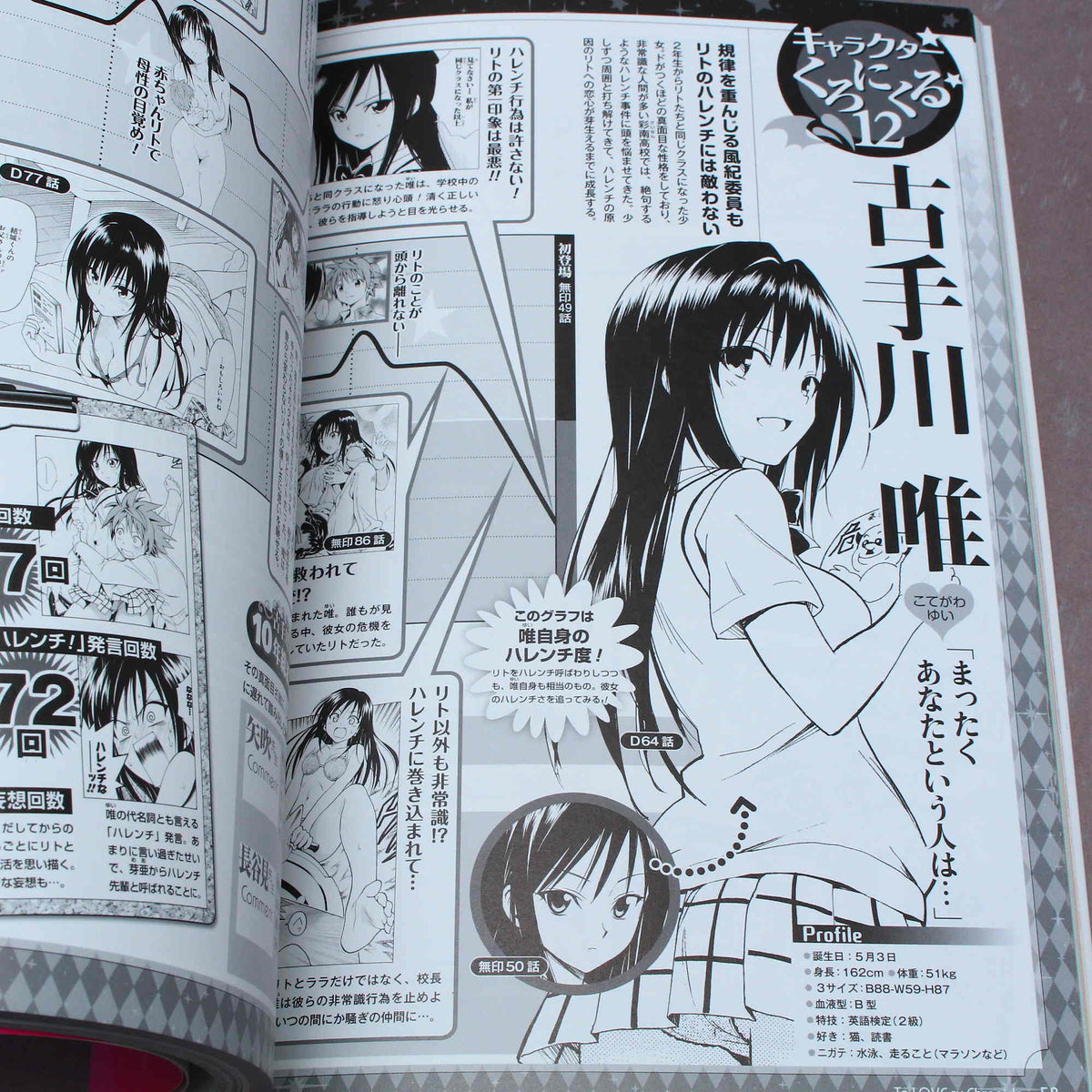 To Love-Ru - 10th Anniversary Book
