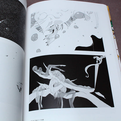 Pseudomorph of Love - Ichikawa Haruko Illustration Book