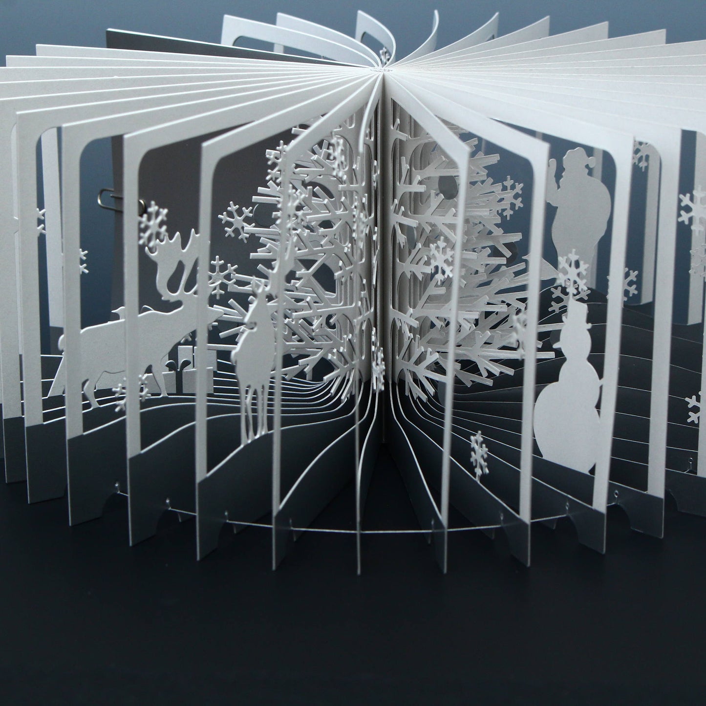 360° Degree BOOK - Snowy World