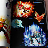 Rockman.exe Mega Man Official Complete Works Art Book