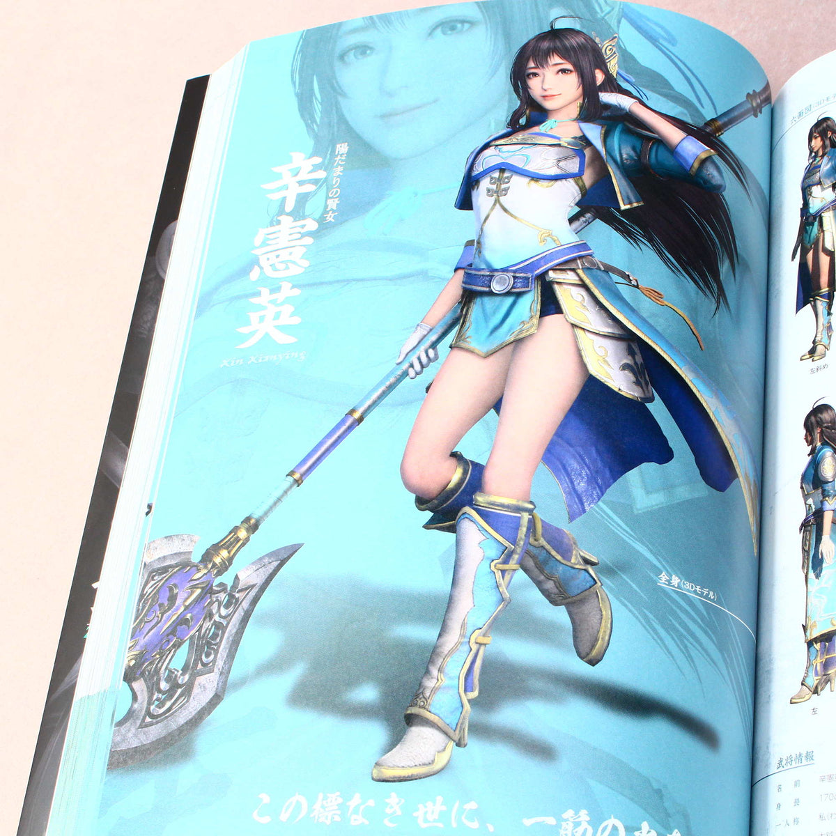 Shin-Sangoku Muso 8 - Official Data Book Vol.2