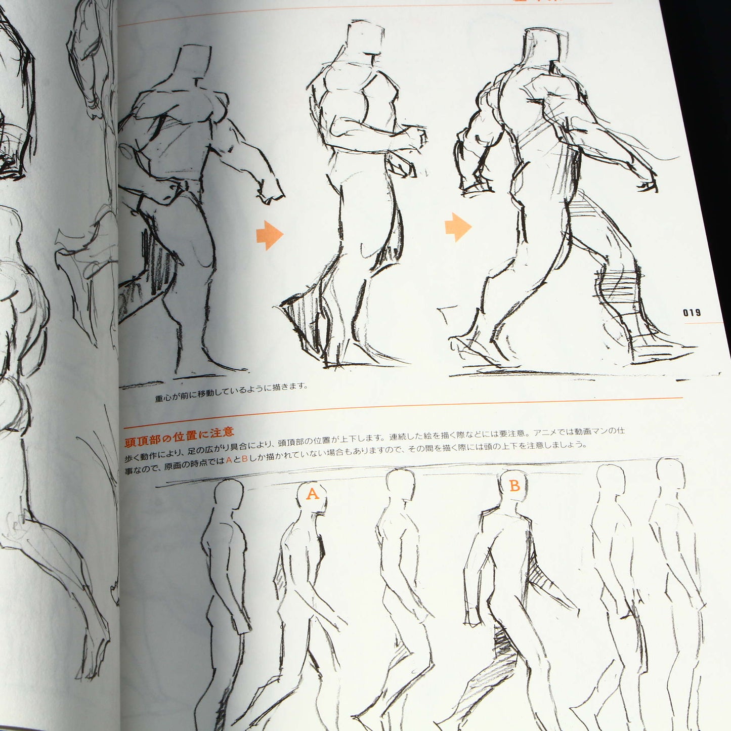 Animators Sketch Collection - Muscle Characters