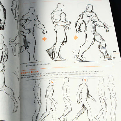 Animators Sketch Collection - Muscle Characters