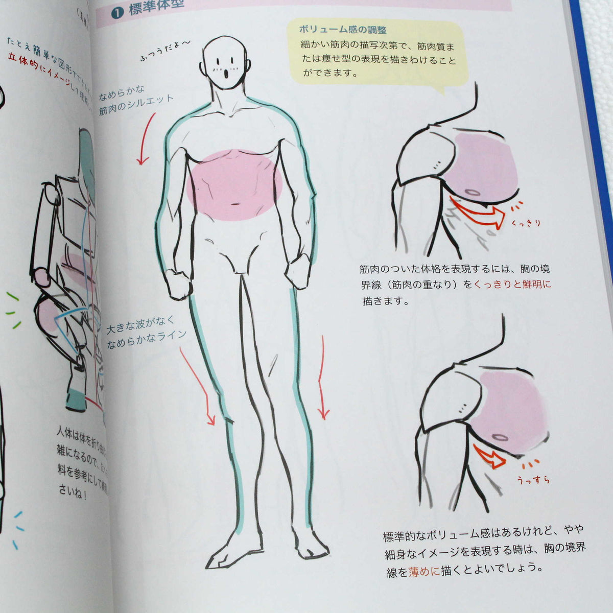 How to Draw - Handsome Male Bodies: Muscles and Sexy