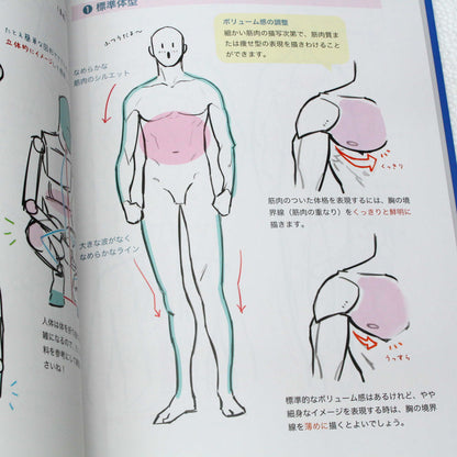 How to Draw - Handsome Male Bodies: Muscles and Sexy