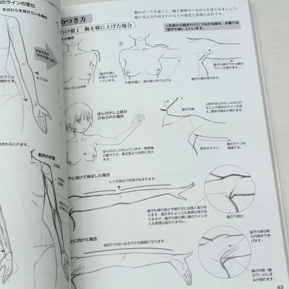 How to Draw - Girls Bodies