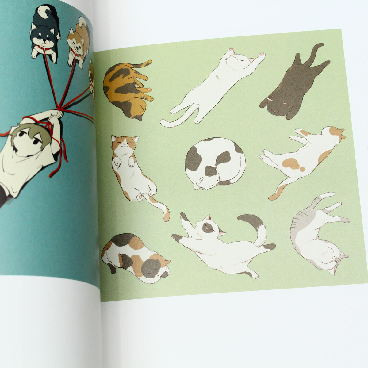 Avogado6 - Hakusei - Illustration Book and Manga