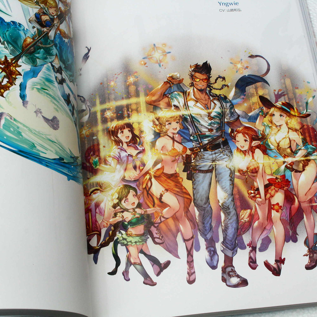 Granblue Fantasy - Graphic Archive V