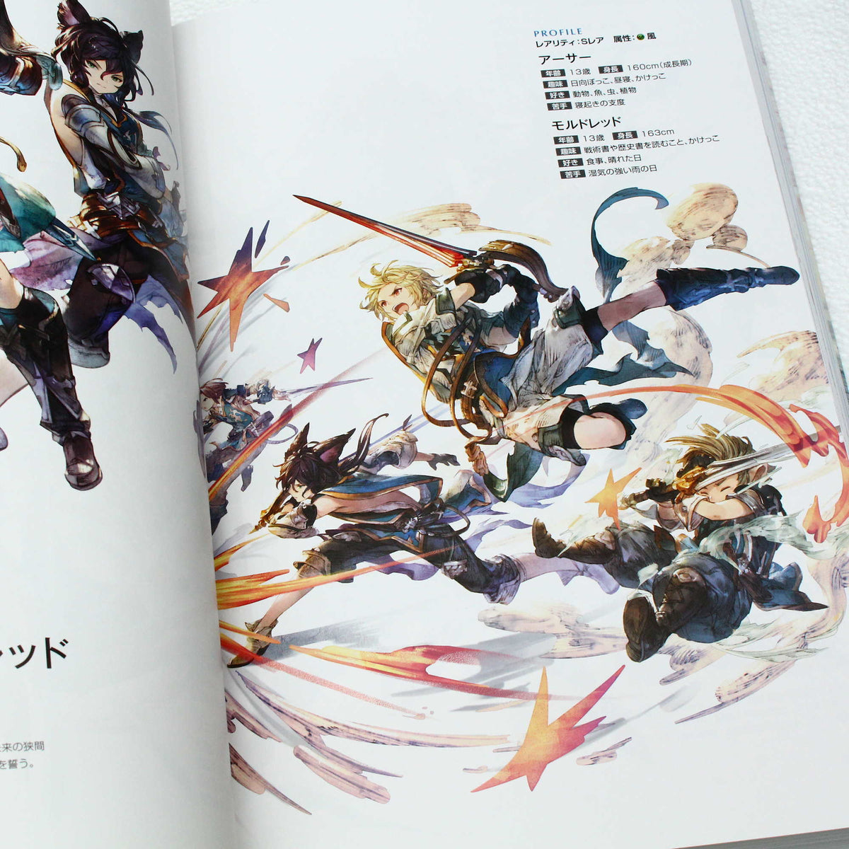 Granblue Fantasy - Graphic Archive V