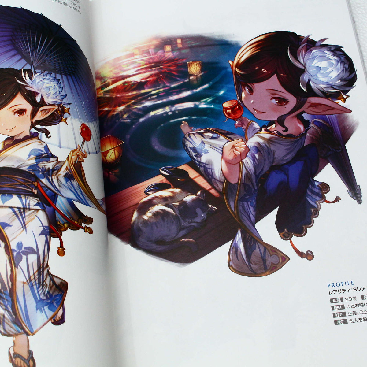 Granblue Fantasy - Graphic Archive V