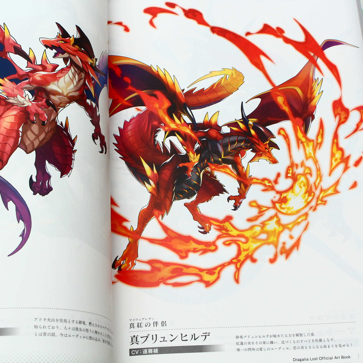 Dragalia Lost Official Art Book – Otaku.co.uk