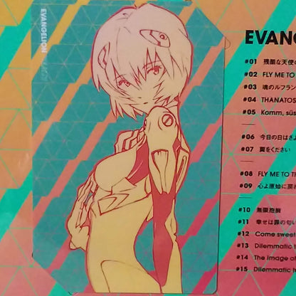 EVANGELION FINALLY