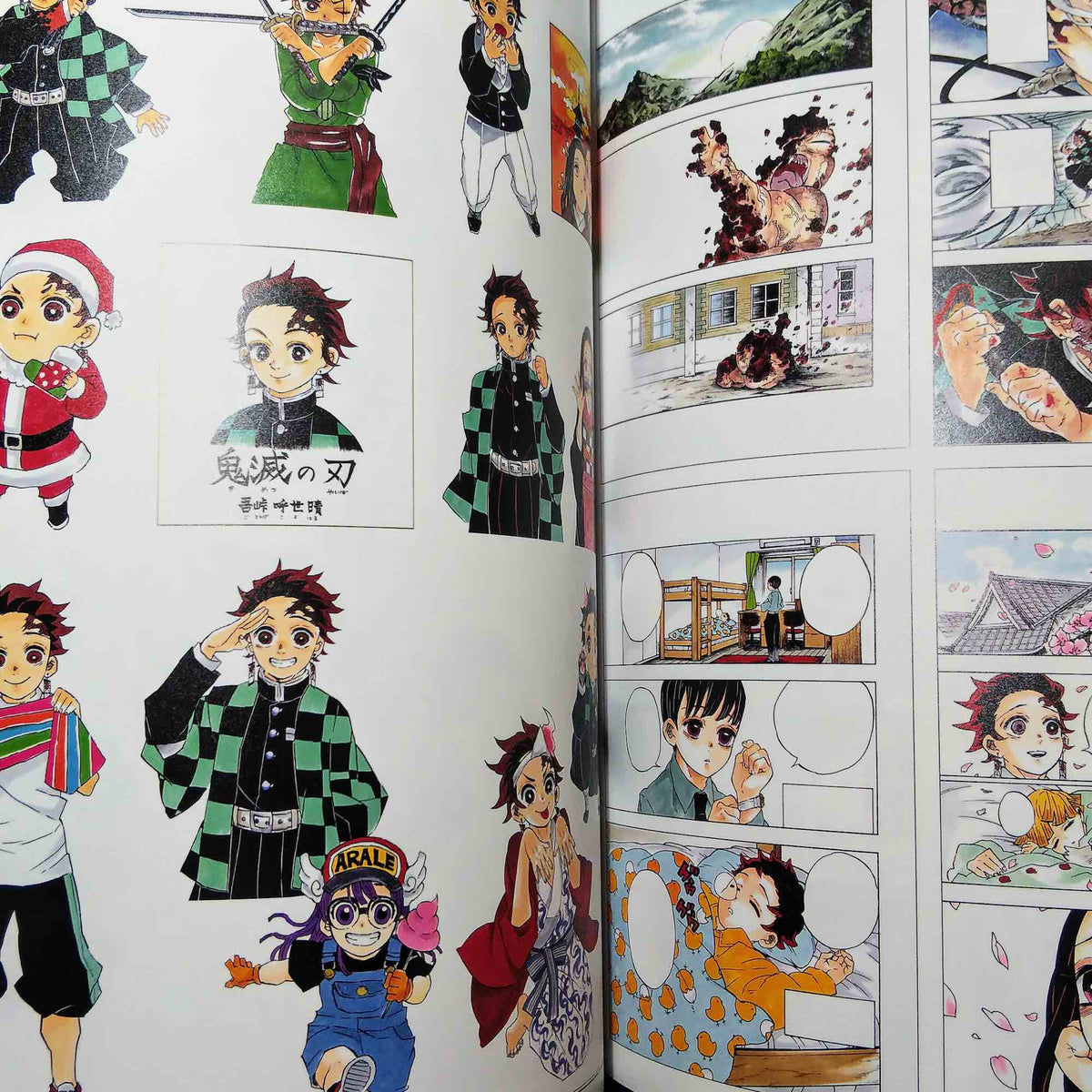 Demon Slayer / Kimetsu no Yaiba Illustrations