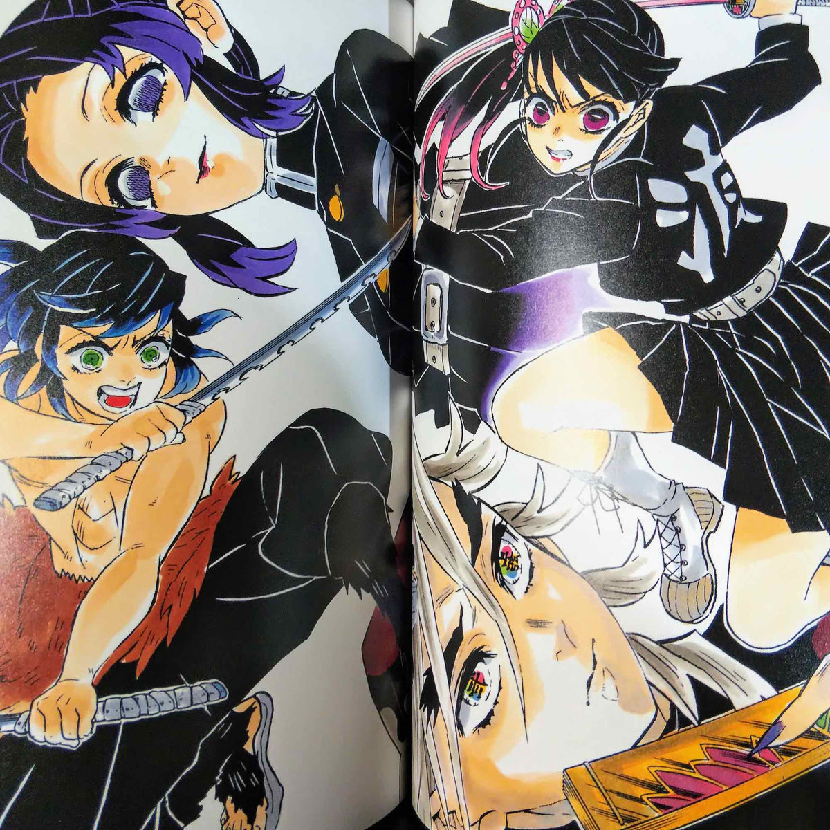 Demon Slayer / Kimetsu no Yaiba Illustrations