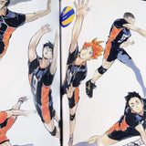 Haikyu Complete Illustration book