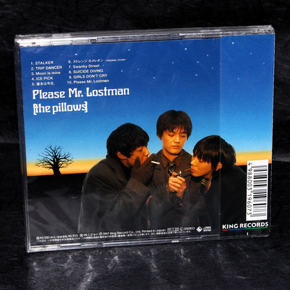 Pillows - Please Mr. Lostman