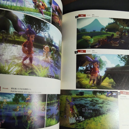 Sakuna Of Rice and Ruin Art Works