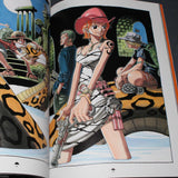 One Piece Color Walk 2