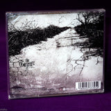 Gazette Hyena Auditory Impression