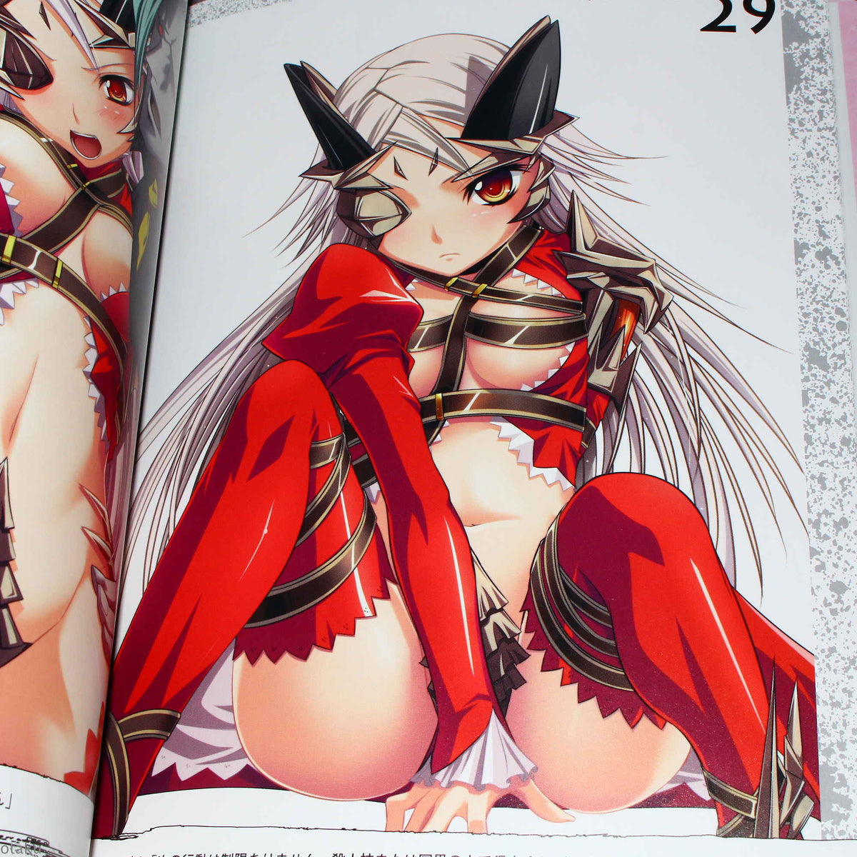 Queen's Blade Aldra