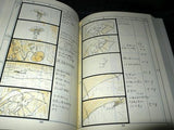 Totoro Storyboard / Conte Book