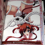 Queens Gate Kakusei Tsurugi-hime Jubei Yagyu