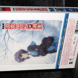 The Disappearance of Haruhi Suzumiya - Limited Ed