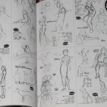 Fullmetal Alchemist Chronicle