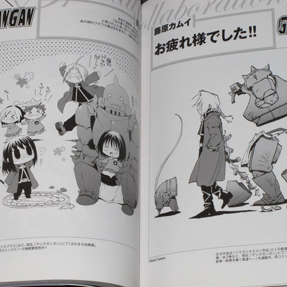 Fullmetal Alchemist Chronicle